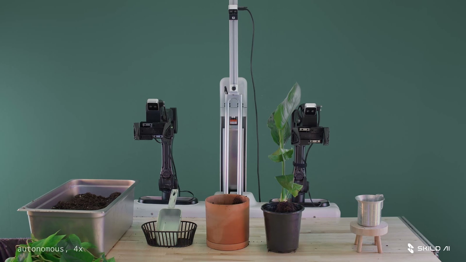 Skild AI robot performing the plant-potting task used in its S1 in-context-learning demonstration