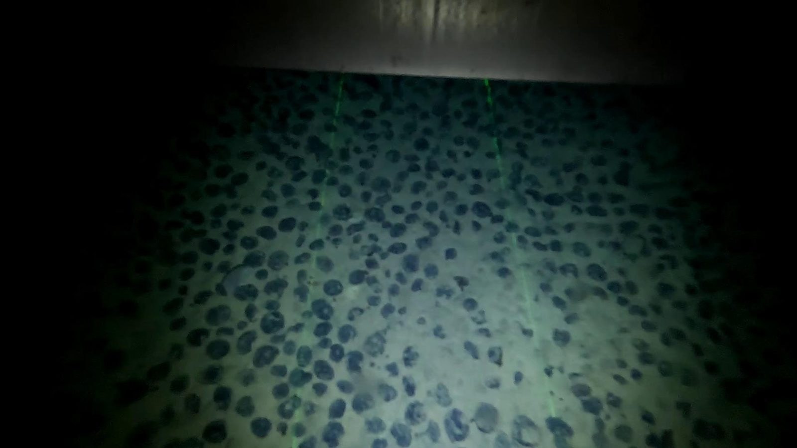 Real deep-seafloor field of polymetallic nodules observed during the Ifremer EDEN campaign